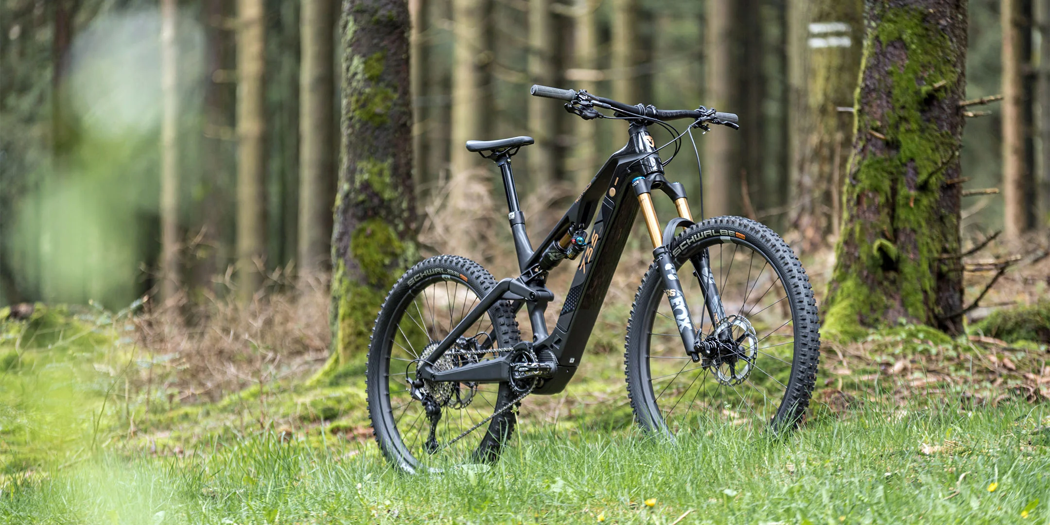 ROTWILD: Engineering trifft Leidenschaft